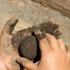 謎の泥だんご：ある日曜日の午後