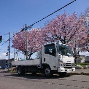 春・トラック