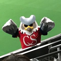 シリーズ「スポーツ観戦」その３・後編：野々村芳和、社長、チェアマン