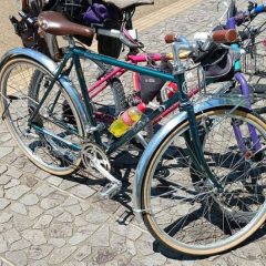 一目惚れしました！！