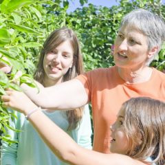 熱い親子の夏休み