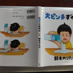 大ピンチずかん、私の場合