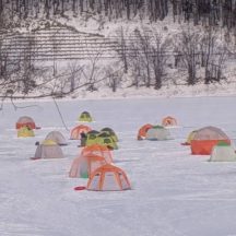 私の今年のニュース：オリンピアン誕生　