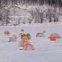 私の今年のニュース：オリンピアン誕生　