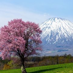 今シーズンもよろしくお願いします。