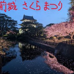 桜街道探訪：松前桜まつり、森町さくらまつり、優駿さくらロード?、中山峠アタッカー、駒ヶ岳一周のコース下調べ