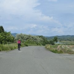 岩見沢ライド：年間予定ライド、美味しいもの探訪、新しい発見、北海道の良さ確認