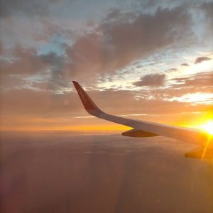 飛行機